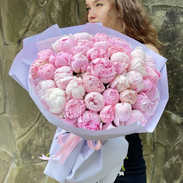 39 нежных пионов в Калининграде