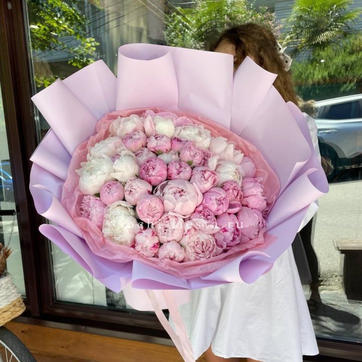 51 розовый пион в Калининграде