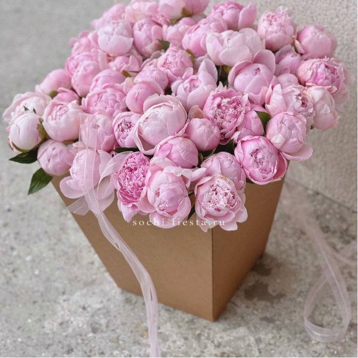 49 пионов в крафт коробке в Калининграде