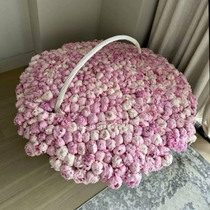 Корзина 555 пионов в Калининграде