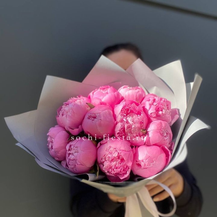 Пионы Алекс флеминг в Калининграде