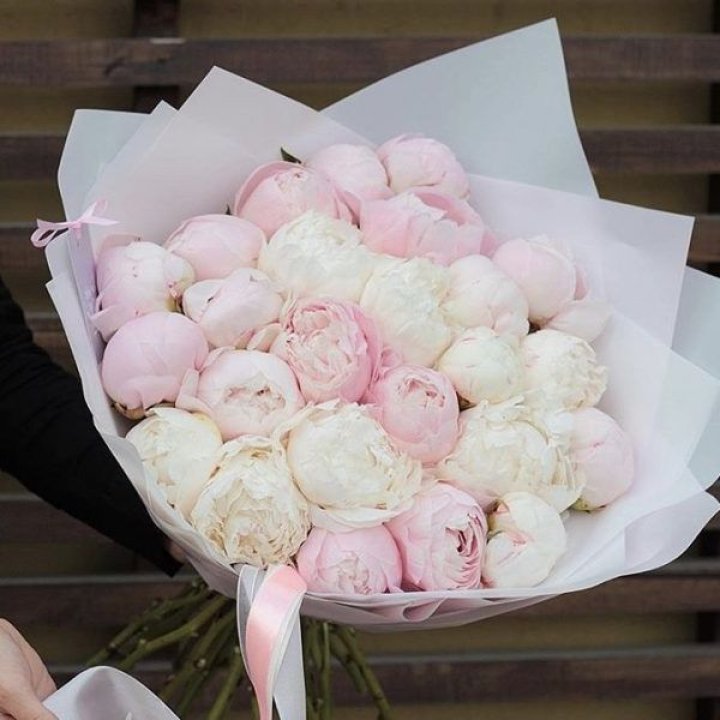 29 пионов в Калининграде