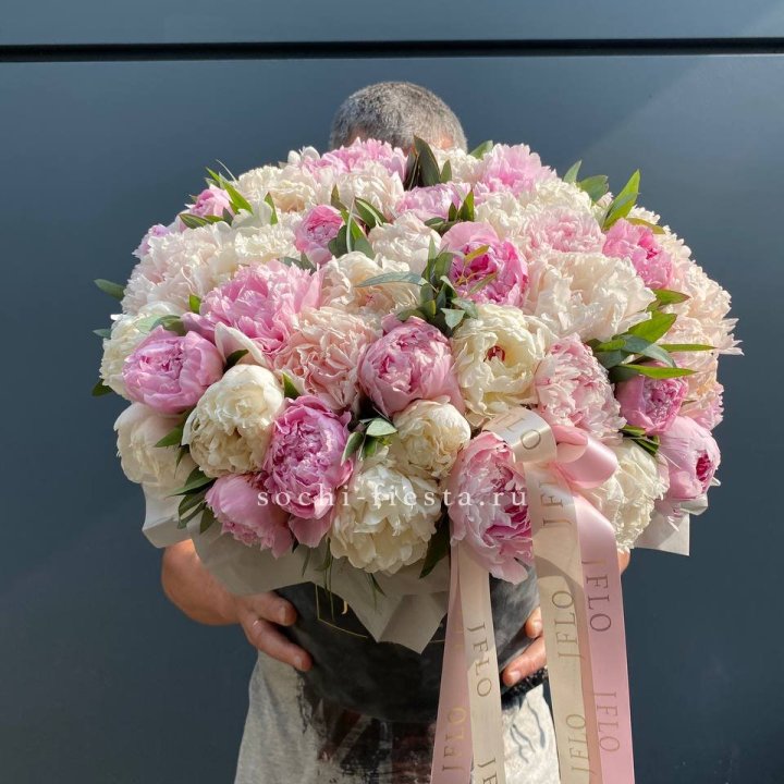 51 пионов в боксе в Калининграде