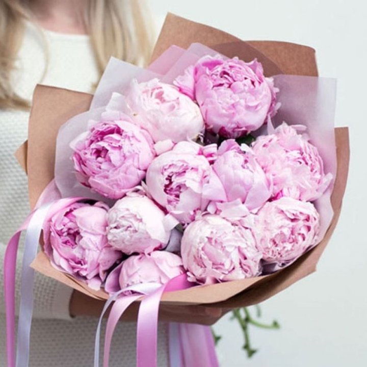 11 нежных пионов в Калининграде