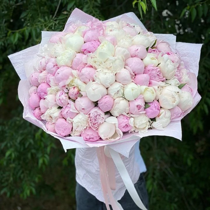 101 пион в Калининграде