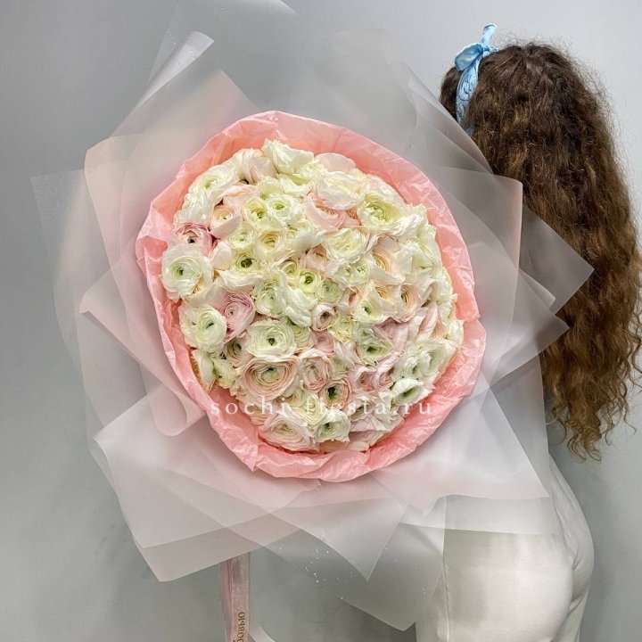 113 ранункулюсов  в Калининграде