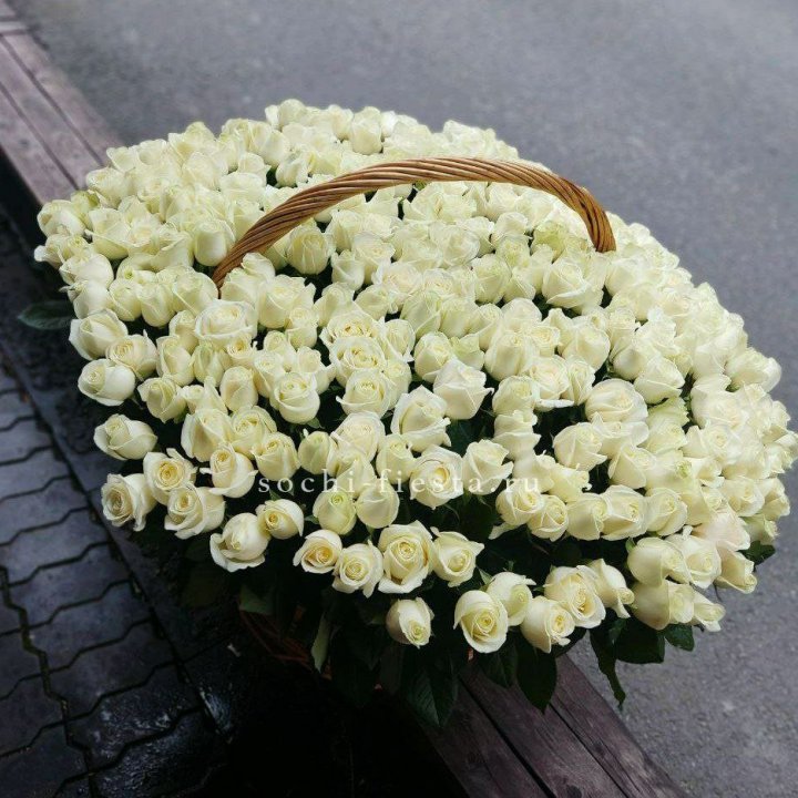 303 розы в корзине в Калининграде