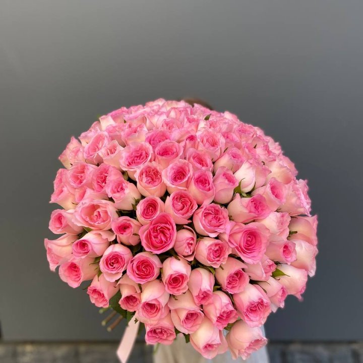 101 розовая роза в Калининграде