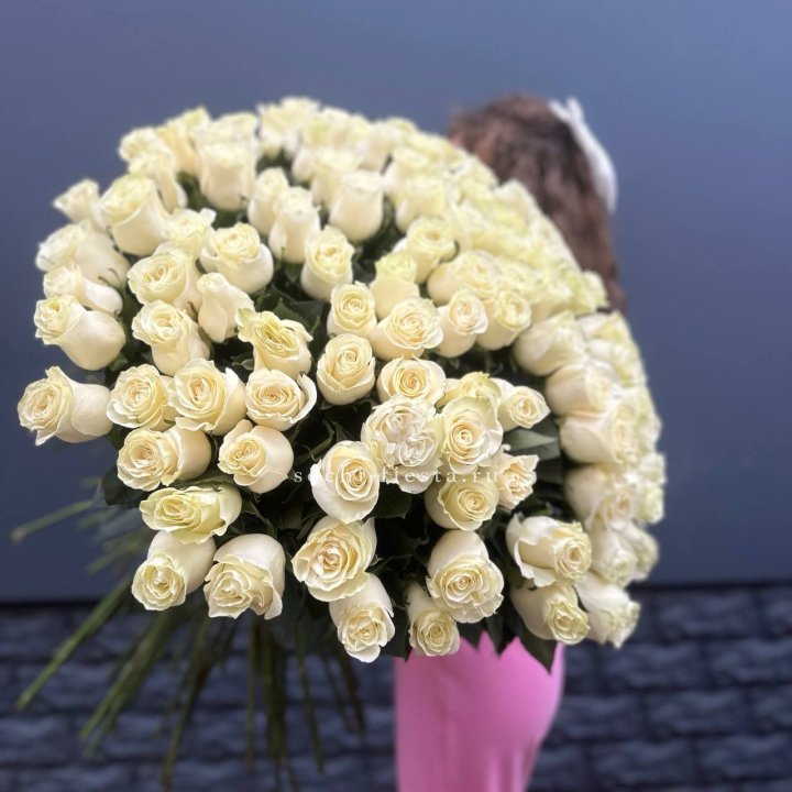 101 белая высокая импортная роза под ленту в Калининграде