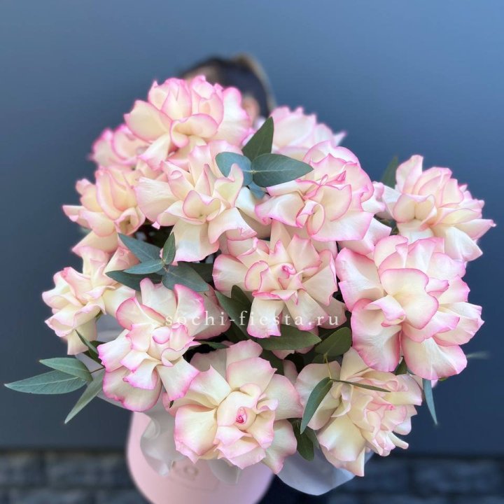 15 Французских роз Джумилия в боксе в Калининграде