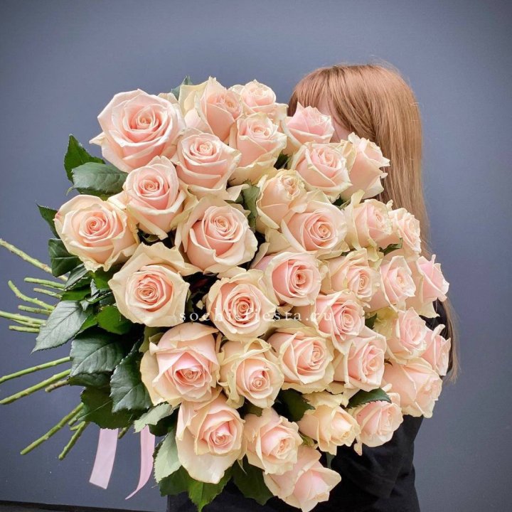 35 кремовых высоких роз в Калининграде