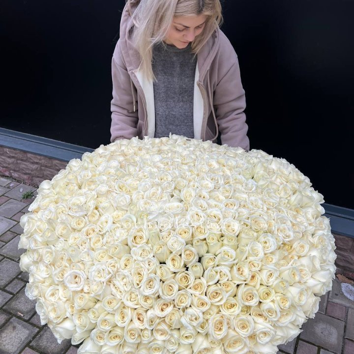 501 белая роза в корзине в Калининграде