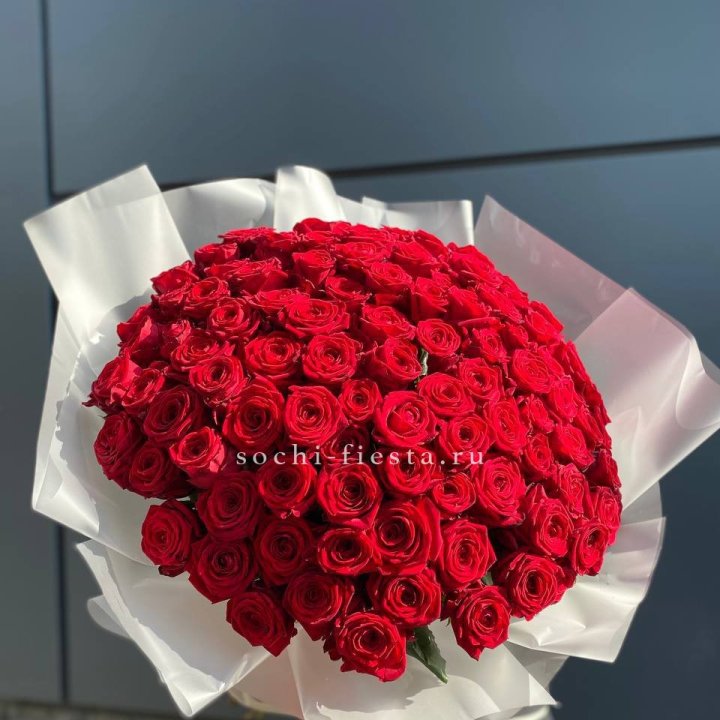 101 высокая роза в Калининграде