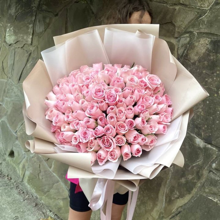 101 нежно-розовая роза Каролина  в Калининграде