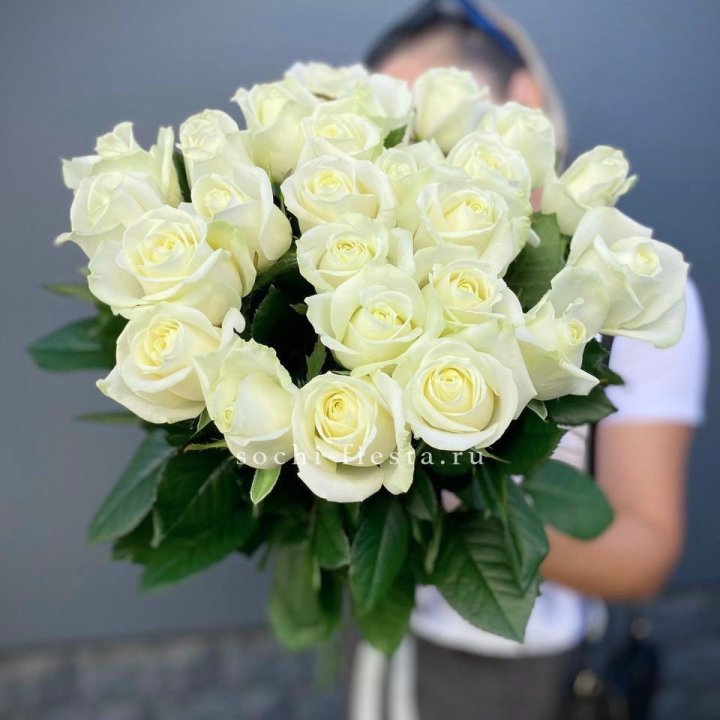 Голландские розы белые 25 в Калининграде
