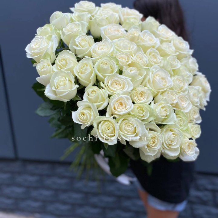 51 белоснежная высокая роза в Калининграде