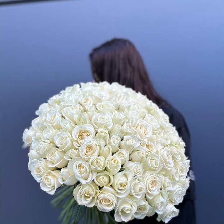 Охапка из 101 белой розы  в Калининграде