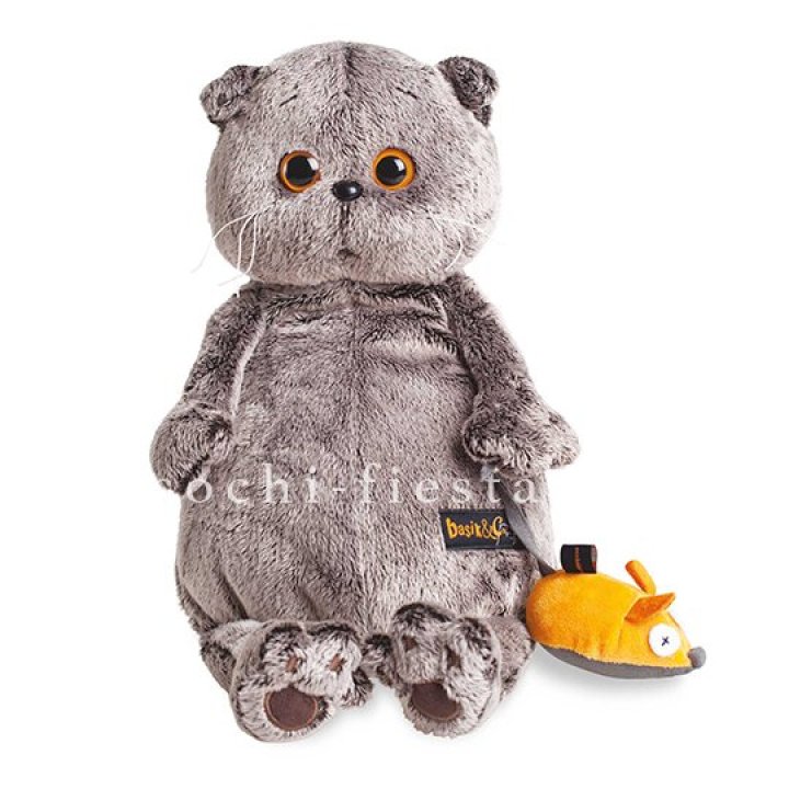 Кот Басик с мышкой в Калининграде