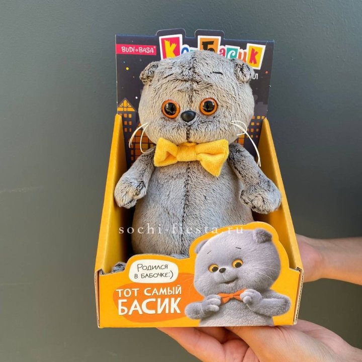 Кот Басик с бабочкой в Калининграде