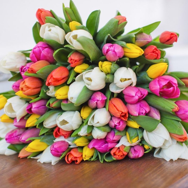 79 тюльпанов "Рандом" в Калининграде