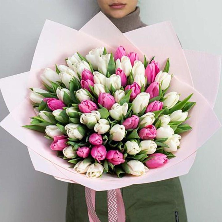 61 бело-розовый тюльпан в Калининграде