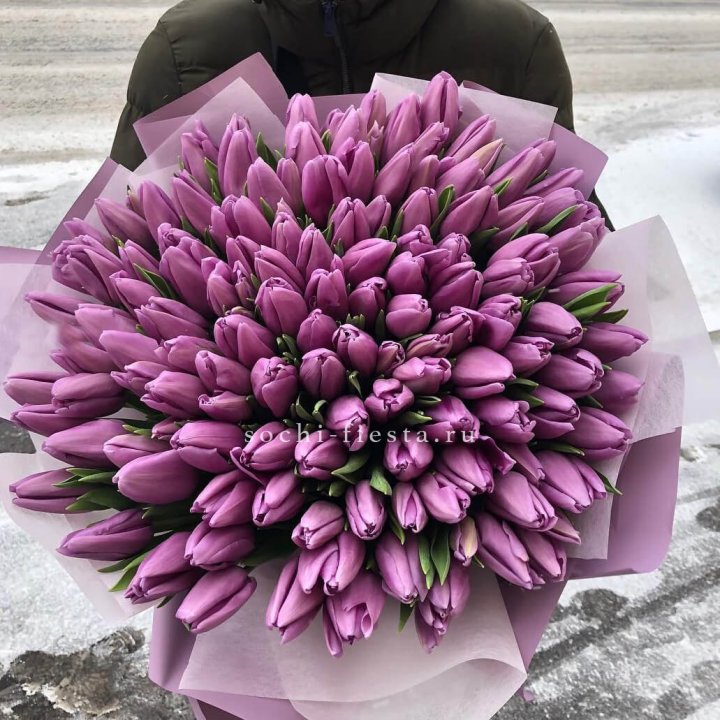 101 сиреневый тюльпан в Калининграде