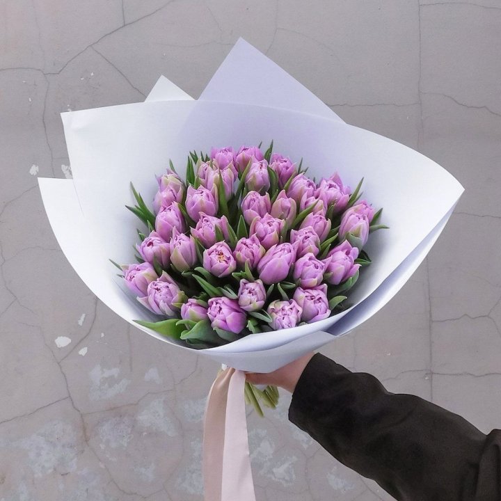 35 сиреневых тюльпанов в Калининграде