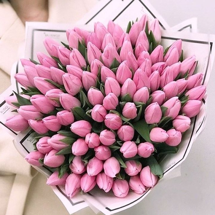 101 розовый тюльпан в белом в Калининграде