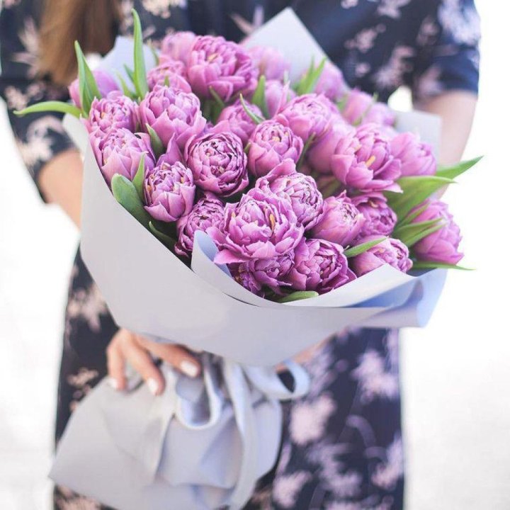 Тюльпаны "Пионс" в Калининграде