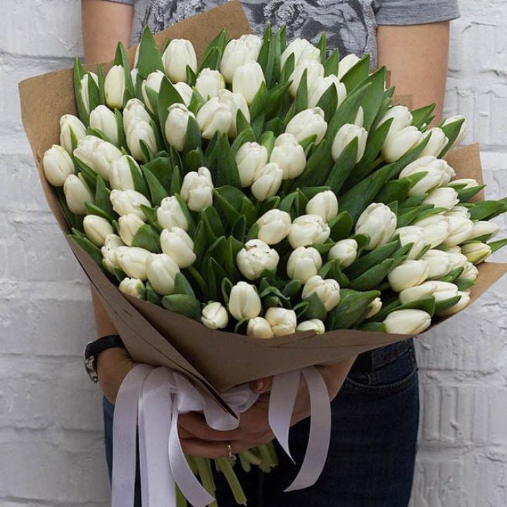 101 тюльпан сноу в Калининграде