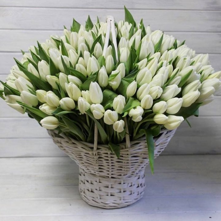 Корзина из 151 тюльпана в Калининграде