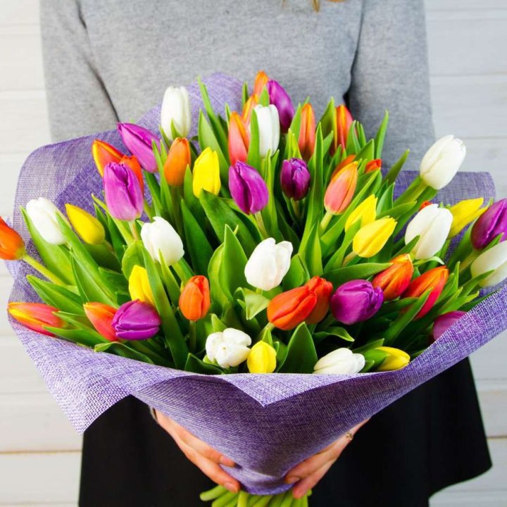 51 тюльпан "Рандом" №2 в Калининграде