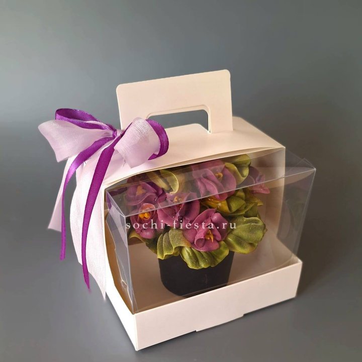  Зефир "Фиалка" в Калининграде